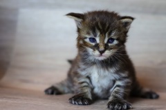 IMG_3075